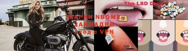 гидра Заволжье