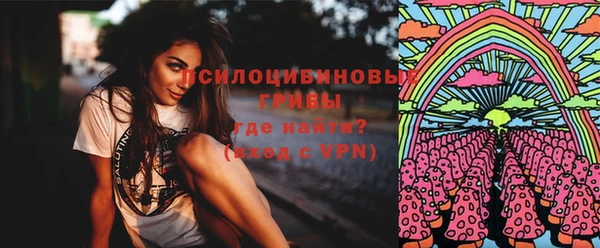 бошки Абинск