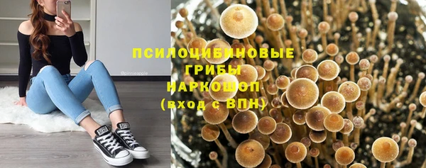 ECSTASY Абаза