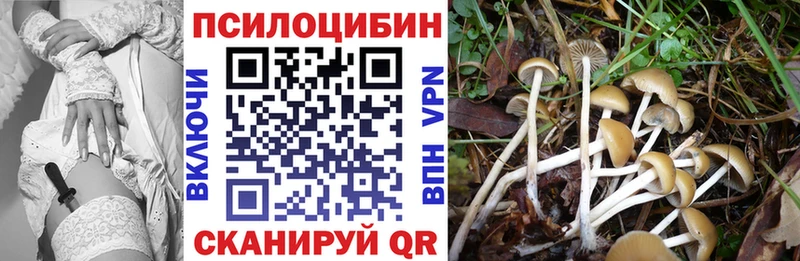 Галлюциногенные грибы Magic Shrooms  Ханты-Мансийск 